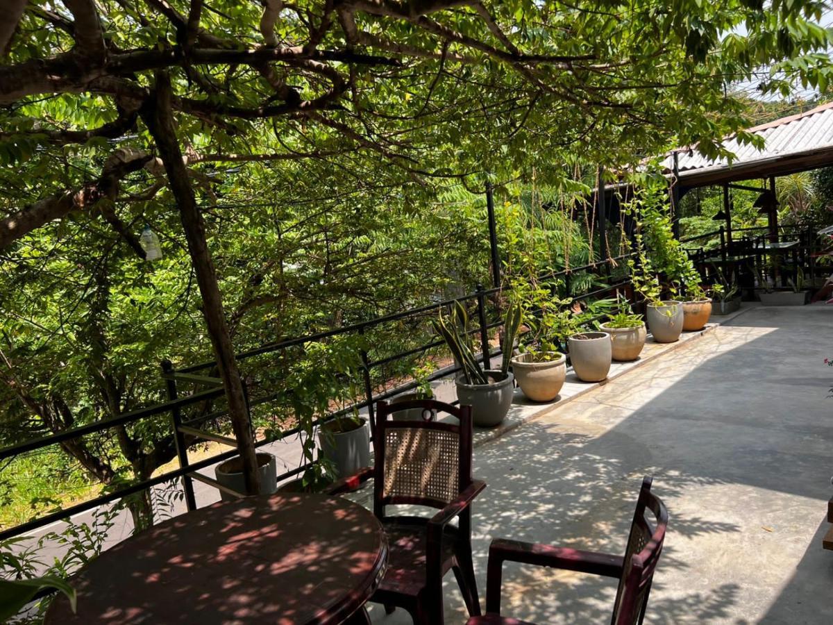 The Traveller'S Hostel & Private Rooms Sigiriya Exteriör bild