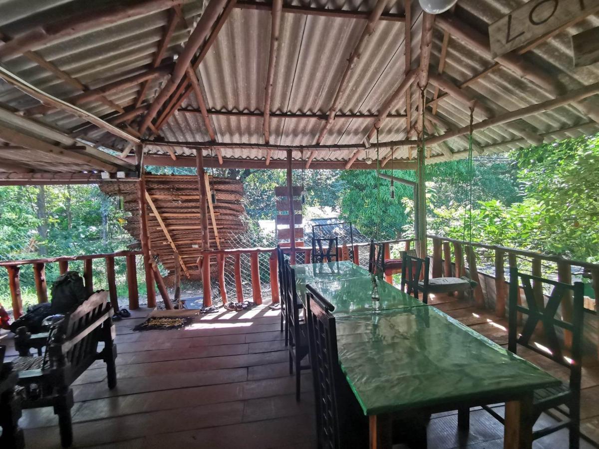 The Traveller'S Hostel & Private Rooms Sigiriya Exteriör bild